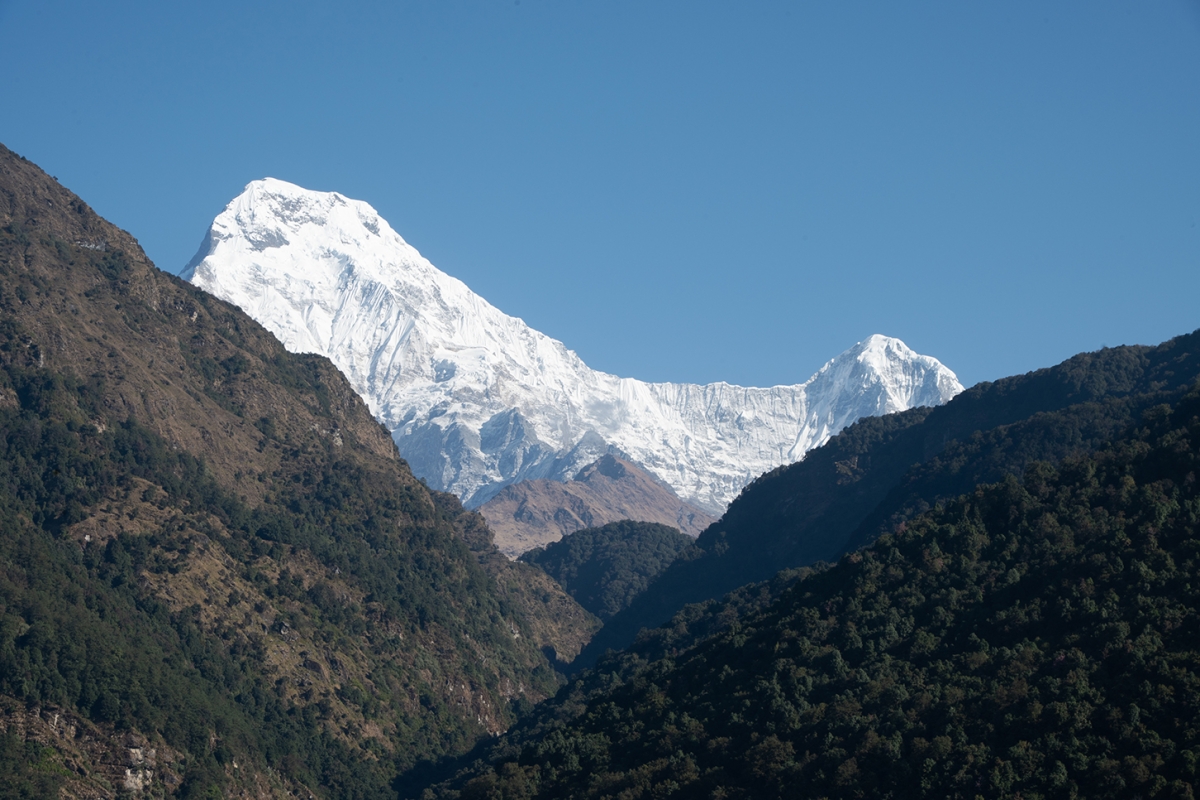 Classic Poon Hill Trek